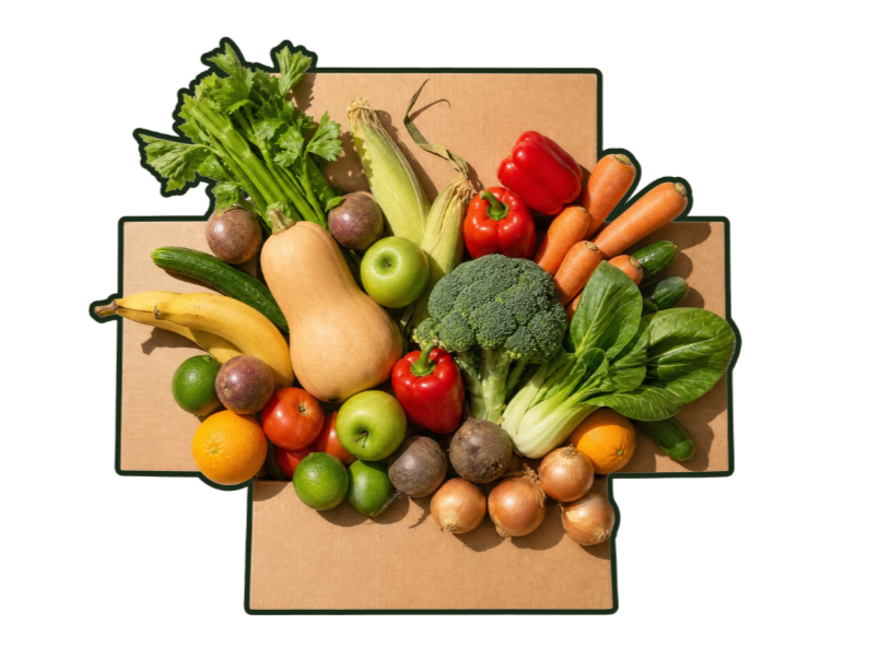 An open cardboard box seen from above, heaped with celery, corn, capsicums, carrots, broccoli, pak choi, apples, tomatoes, onions and a butternut pumpkin