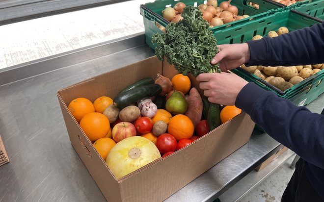 Hands lowering a bunch of kale into a cardboard box of oranges, tomatoes, potatoes and a melon, with crates of onions and potatoes behind